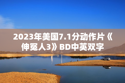 2023年美国7.1分动作片《伸冤人3》BD中英双字