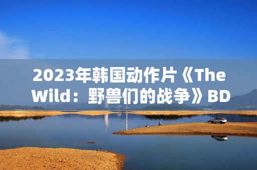 2023年韩国动作片《The Wild：野兽们的战争》BD韩语中字