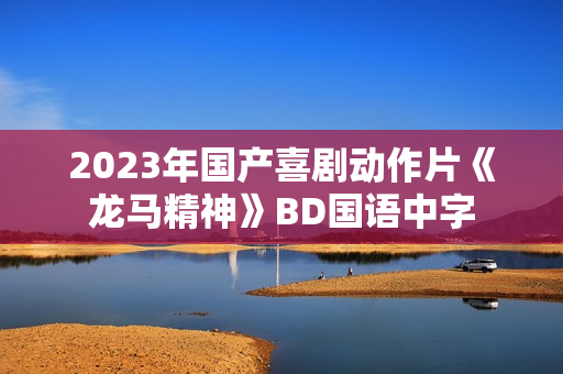 2023年国产喜剧动作片《龙马精神》BD国语中字