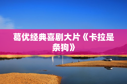 葛优经典喜剧大片《卡拉是条狗》