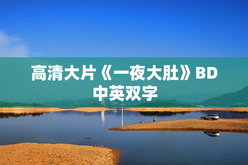 高清大片《一夜大肚》BD中英双字 高清大片《一夜大肚》BD中英双字
