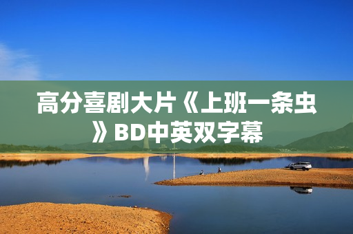 高分喜剧大片《上班一条虫》BD中英双字幕