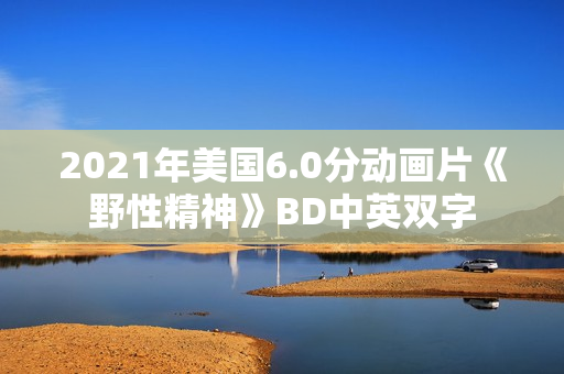 2021年美国6.0分动画片《野性精神》BD中英双字
