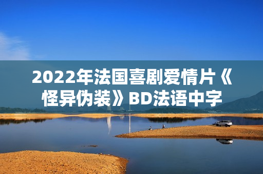2022年法国喜剧爱情片《怪异伪装》BD法语中字