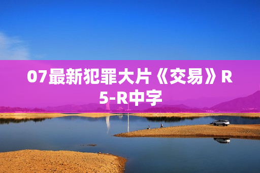 07最新犯罪大片《交易》R5-R中字