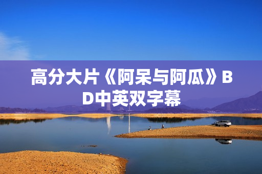 高分大片《阿呆与阿瓜》BD中英双字幕