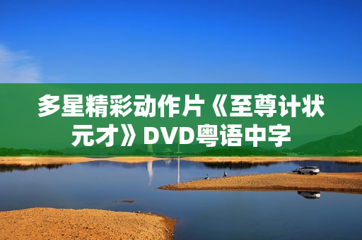 多星精彩动作片《至尊计状元才》DVD粤语中字