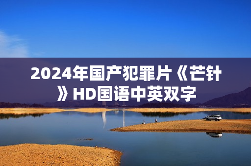 2024年国产犯罪片《芒针》HD国语中英双字