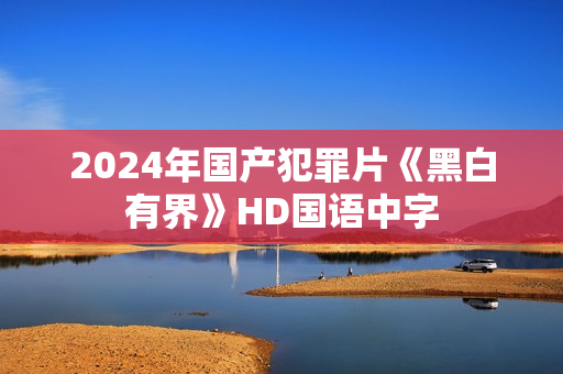 2024年国产犯罪片《黑白有界》HD国语中字