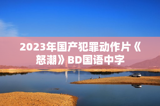 2023年国产犯罪动作片《怒潮》BD国语中字