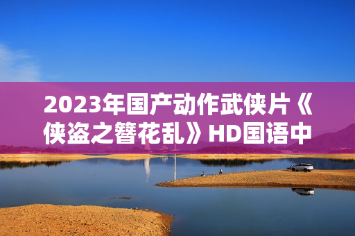 2023年国产动作武侠片《侠盗之簪花乱》HD国语中字