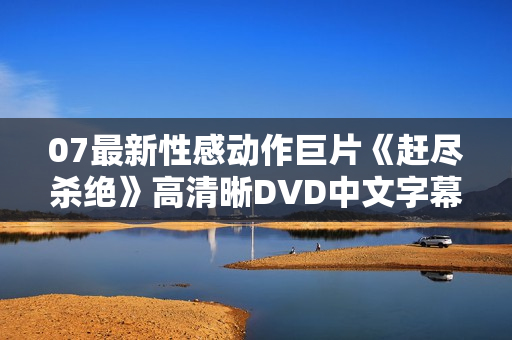 07最新性感动作巨片《赶尽杀绝》高清晰DVD中文字幕 07最新性感动作巨片《赶尽杀绝》高清晰DVD中文字幕