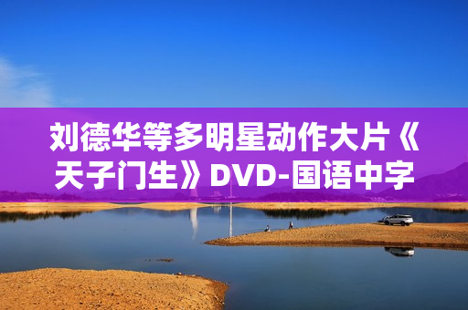 刘德华等多明星动作大片《天子门生》DVD-国语中字