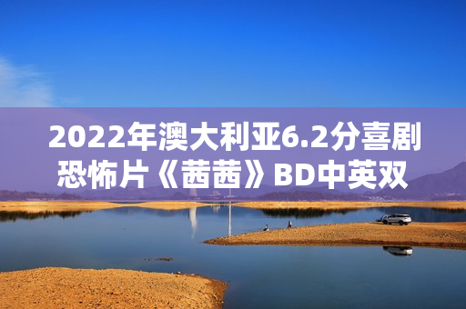 2022年澳大利亚6.2分喜剧恐怖片《茜茜》BD中英双字