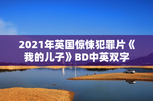 2021年英国惊悚犯罪片《我的儿子》BD中英双字