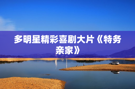 多明星精彩喜剧大片《特务亲家》 多明星精彩喜剧大片《特务亲家》