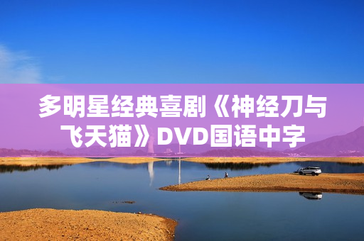 多明星经典喜剧《神经刀与飞天猫》DVD国语中字 多明星经典喜剧《神经刀与飞天猫》DVD国语中字
