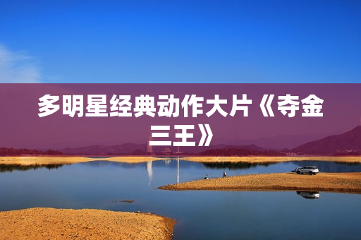 多明星经典动作大片《夺金三王》