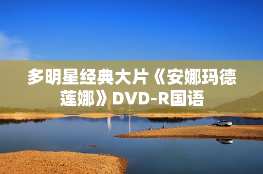 多明星经典大片《安娜玛德莲娜》DVD-R国语