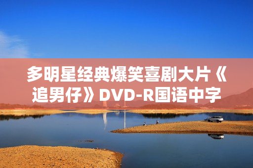 多明星经典爆笑喜剧大片《追男仔》DVD-R国语中字 多明星经典爆笑喜剧大片《追男仔》DVD-R国语中字