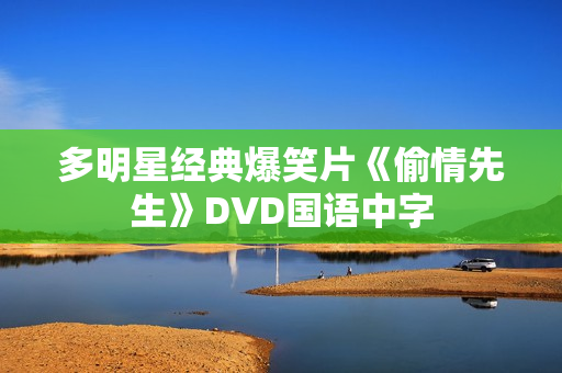 多明星经典爆笑片《偷情先生》DVD国语中字