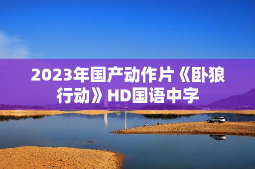 2023年国产动作片《卧狼行动》HD国语中字