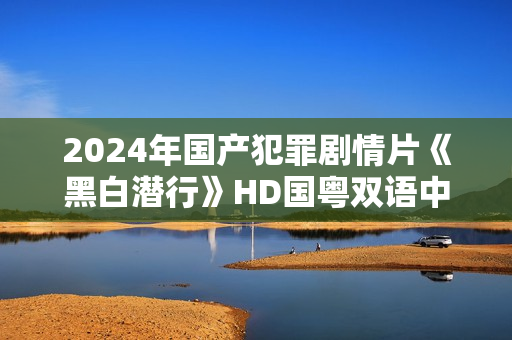 2024年国产犯罪剧情片《黑白潜行》HD国粤双语中字