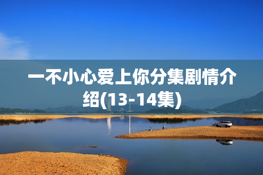 一不小心爱上你分集剧情介绍(13-14集)