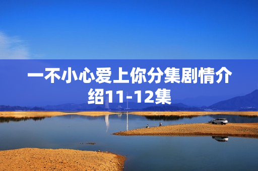 一不小心爱上你分集剧情介绍11-12集