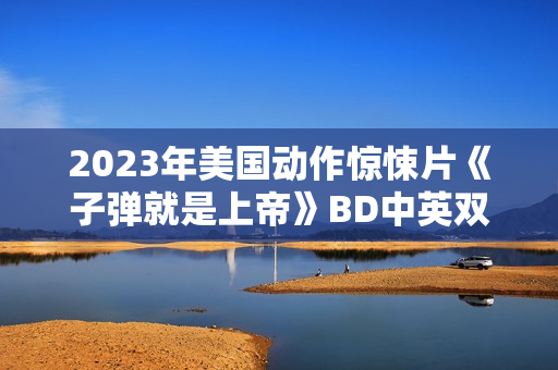 2023年美国动作惊悚片《子弹就是上帝》BD中英双字