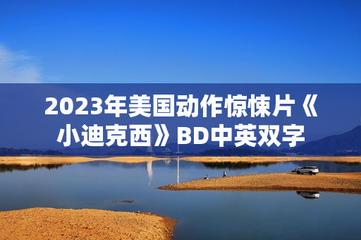 2023年美国动作惊悚片《小迪克西》BD中英双字 2023年美国动作惊悚片《小迪克西》BD中英双字