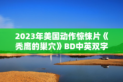 2023年美国动作惊悚片《秃鹰的巢穴》BD中英双字