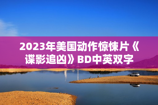2023年美国动作惊悚片《谍影追凶》BD中英双字