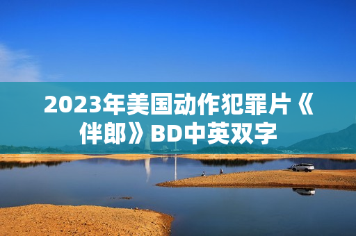 2023年美国动作犯罪片《伴郎》BD中英双字