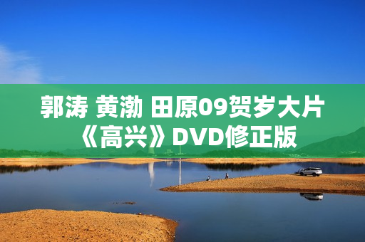 郭涛 黄渤 田原09贺岁大片《高兴》DVD修正版
