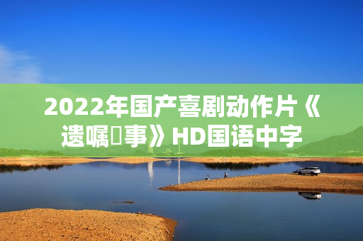 2022年国产喜剧动作片《遗嘱囧事》HD国语中字