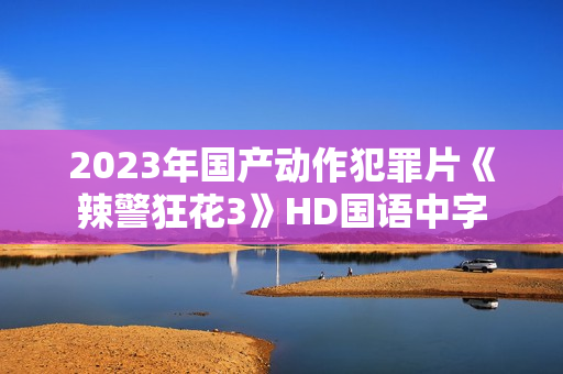 2023年国产动作犯罪片《辣警狂花3》HD国语中字