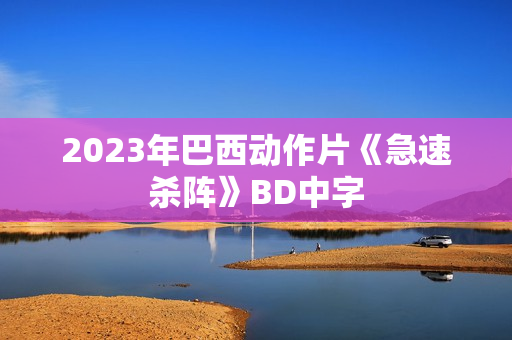 2023年巴西动作片《急速杀阵》BD中字