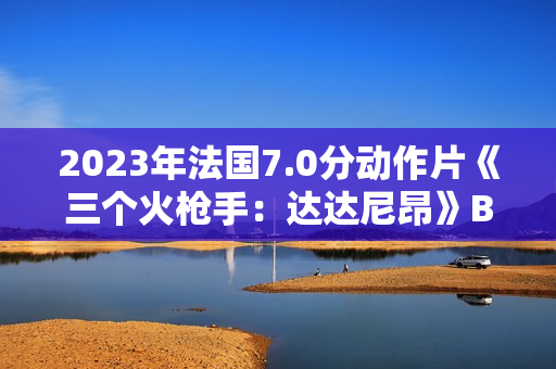 2023年法国7.0分动作片《三个火枪手：达达尼昂》BD法语中字