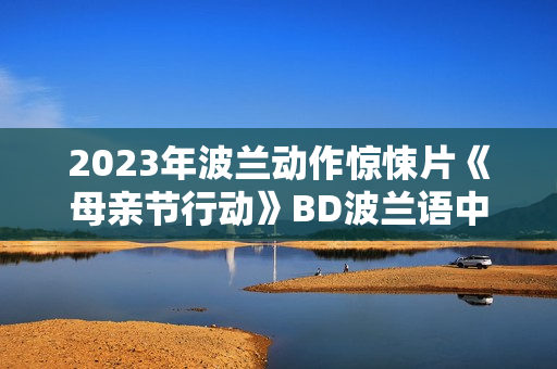 2023年波兰动作惊悚片《母亲节行动》BD波兰语中字