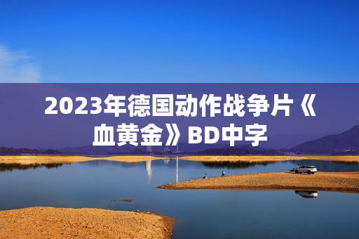 2023年德国动作战争片《血黄金》BD中字
