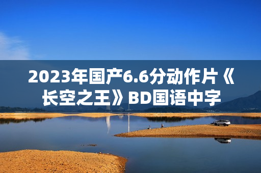 2023年国产6.6分动作片《长空之王》BD国语中字
