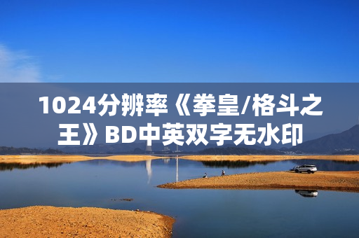 1024分辨率《拳皇/格斗之王》BD中英双字无水印