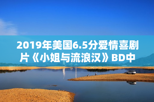 2019年美国6.5分爱情喜剧片《小姐与流浪汉》BD中英双字