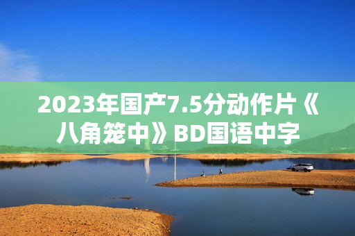 2023年国产7.5分动作片《八角笼中》BD国语中字