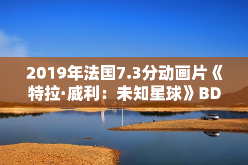 2019年法国7.3分动画片《特拉·威利：未知星球》BD国法双语中字