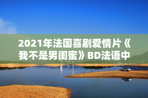 2021年法国喜剧爱情片《我不是男闺蜜》BD法语中字