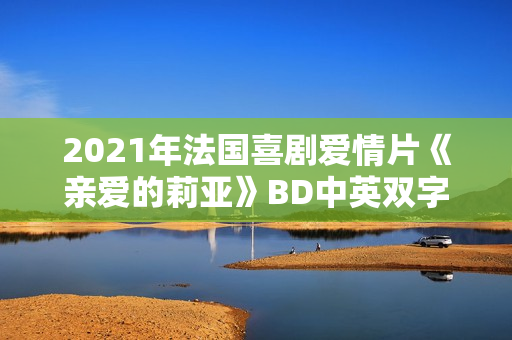 2021年法国喜剧爱情片《亲爱的莉亚》BD中英双字