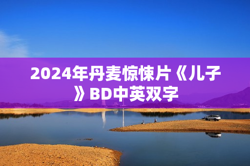 2024年丹麦惊悚片《儿子》BD中英双字