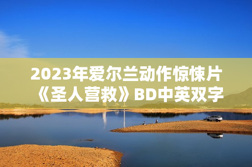 2023年爱尔兰动作惊悚片《圣人营救》BD中英双字